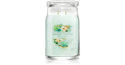 Yankee Candle Aloe & Agave Signature Scented candle - 567.0 g