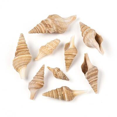 Natural Spiral Shell Beads